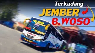 ANTI KUSUT !! GAK BERLAKU JALAN KEONG DI BIS INI 🔥🔥 