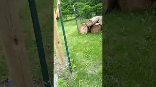 too late Tony (property line dispute)