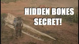 Hidden Whale Bones in the Desert SECRET EXPLAINED in Red Dead Redemption 2!