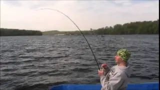 striped bass fishing albany new york spring 2014