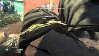 Black Ops: Multi Multi kill
