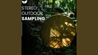 Authentic Outdoor Ambience