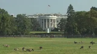 White House launching review of Smithsonian museum exhibits