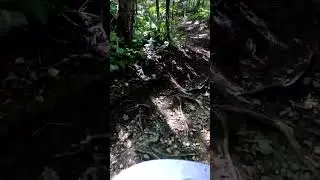 Into the unknown Racecourse #mtb #mtbvt #freeride #vermont