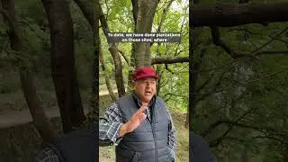 Focus on conservation of forest in India.