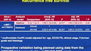 Single Nucleotide Polymorphisms in RCC: Clinically Relevant Implications for Daily Practice?