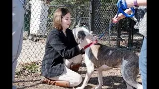Finding Her Path - Career Training and Transitions in FCPS