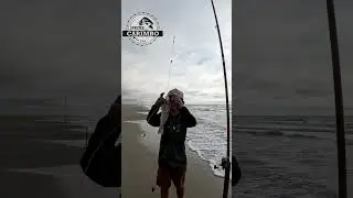 Jo&atilde;o pegando um Papaterra #shorts #fishing #pesca #peixecomcarimbo #beiramar