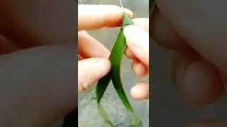 #diy #diycrafts #diyetisyen #diyhomedecor #diyprojects #diyroomdecor #diyrecipes #diyreel