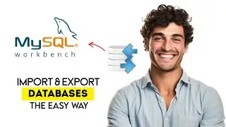 How to Import & Export Databases in MySQL Workbench 2025 (Fast & Easy Guide)
