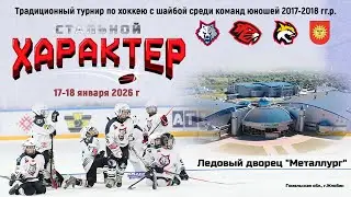 17.01.2026. СХ. 2017. ЛС. Светлогорск - Гомель-1