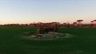 This Years Wheat Crop on Torwood Farm, South Australia-Drone Australia