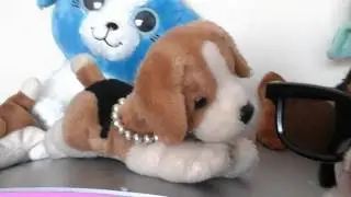 Pongo and friends life of simba