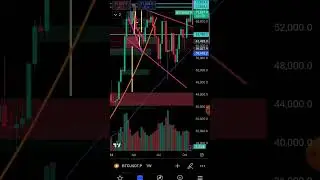 THE BULLRUN IS UPON US!
