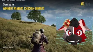 Twenty eighth win #pubg #gaming