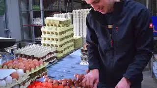 Eierhof Frisch in Dom-Esch