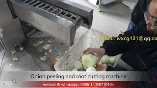 onion head and tail root cutting machine with onion skin peeling machine 2 in 1 machine