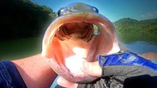 10 POUNDS IN TWO FISH! - (My BEST Fishing Day EVER!) - Episode 72