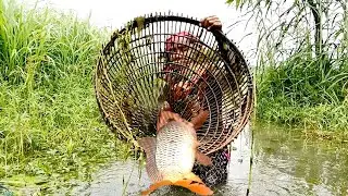 Best Polo Fishing । Awesome Traditional smart Girl catching Fishing With Bamboo Tools Part (03)