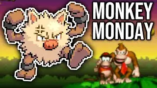 Monkey Monday is BACK - Gen 3 OU Ladder