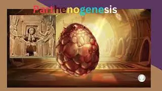 Parthenogenesis, VIRGIN BIRTHED GODS =FEMININE, LATER CAME MASCULINE IN THE PHYSICAL       8/24/2024