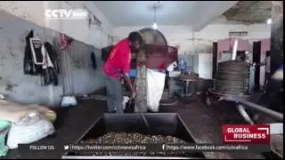 14980 economics CCTV Afrique Libya to host the first International Olive Trade Fair in the countr