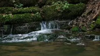 🎧10 HOURS OF SLEEPING MUSIC | WATER OF THE RIVER | RELAX