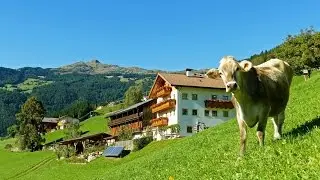 Thalhofer Hof - Hofvideo - UaB Tagung