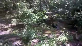 Ruckus.. waterfalls.. national forest.. The Ride Game @ TotalRuckus