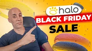 Halo Collar Black Friday Sale &ndash; Shop Before It&rsquo;s Too Late!