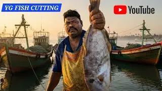 Kasimedu🔥 LEATHER JACKET FISH CUTTING #kasimeduspeedselvam #kasimedufishmarketlatest