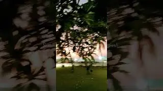 #Evening time#beachview#Samudra#mahal#society#garden#worli#mumbai#