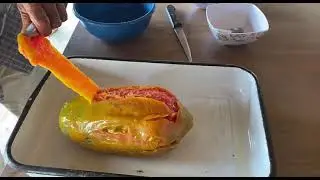 Helados y postres de papaya Sin aditivos
