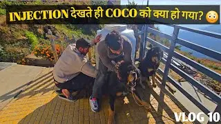 Home Vaccination Gone Wrong? 😱 Coco–Rico का Injection Reaction | Dog Vlog India