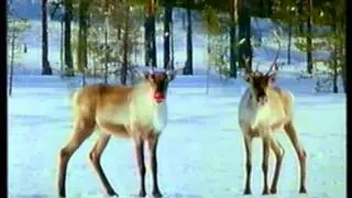 FUNNY LOTTO AD FROM XMAS 1999.