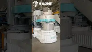 Heavy-duty Pellet Machine Ring Die Pellet Machine for Hard Wood Sawdust Biomass Waste#pelletmachine
