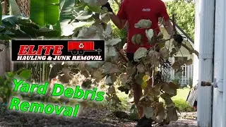 Yard Waste Removal Price & Example- #1 Junk Removal Service Tampa, FL
