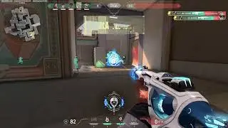 spray transfer Sunset Phoenix