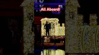 All Aboard the Train at Hard Rock The Holidays Lights Show #lightshow #short #hardrockhollywood