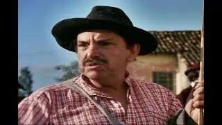 MAZZAROPI- MELHOR; DO que andar a pé.
