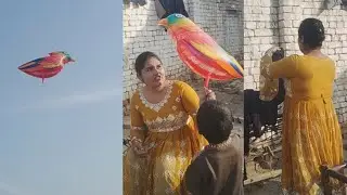 village mom play with big Sparrow bird _ Pakistani aunty village life vlog _ Desi house wife routine