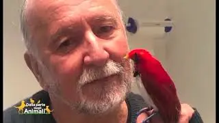 ADDIO RAINER SCHNEIDER, IL VETERINARIO CHE AMAVA E RISPETTAVA TUTTI GLI ANIMALI