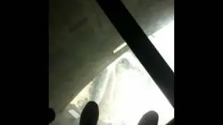 CN tower glass floor