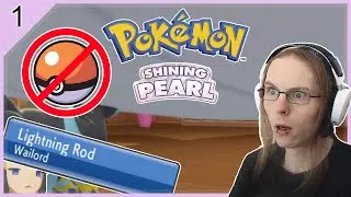 Pokemon BDSP Modded | Crazy Randomizer Nuzlocke | Stream from Jun 07th 2022