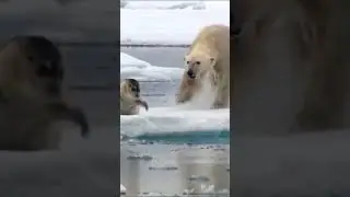 The art of escaping #animals #escape #art #shorts