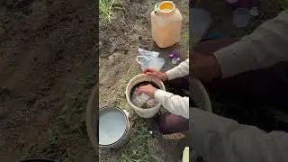 #spray #garlic #farmer #youtube #khetibadi #garlic #lasun #pump #kitnashak