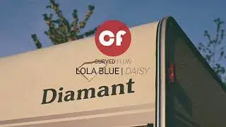 Lola Blue | Daisy