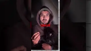 Why people act weird before death !