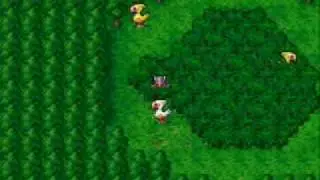 FF4 CHOCOBO