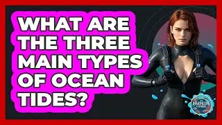 What Are The Three Main Types Of Ocean Tides? - The Marine Life Explorer